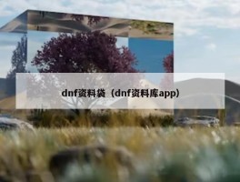 dnf资料袋（dnf资料库app）