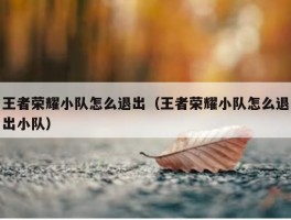 王者荣耀小队怎么退出（王者荣耀小队怎么退出小队）