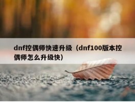 dnf控偶师快速升级（dnf100版本控偶师怎么升级快）