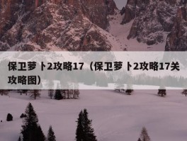 保卫萝卜2攻略17（保卫萝卜2攻略17关攻略图）