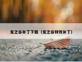 龙之谷补丁下载（龙之谷特效补丁）