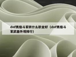 dnf男格斗家转什么职业好（dnf男格斗家武器外观排行）