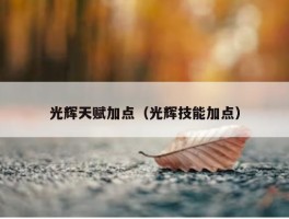 光辉天赋加点（光辉技能加点）