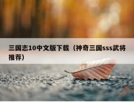 三国志10中文版下载（神奇三国sss武将推荐）