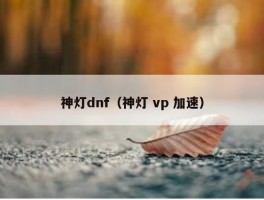 神灯dnf（神灯 vp 加速）