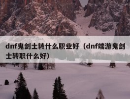 dnf鬼剑士转什么职业好（dnf端游鬼剑士转职什么好）