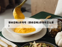 使命召唤2序列号（使命召唤2序列号怎么看）