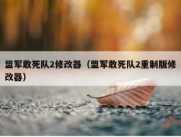 盟军敢死队2修改器（盟军敢死队2重制版修改器）