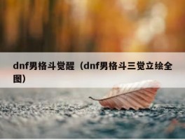 dnf男格斗觉醒（dnf男格斗三觉立绘全图）