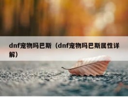 dnf宠物玛巴斯（dnf宠物玛巴斯属性详解）