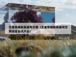 王者荣耀新英雄司空震（王者荣耀新英雄司空震语音台词大全）