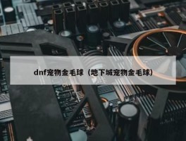 dnf宠物金毛球（地下城宠物金毛球）