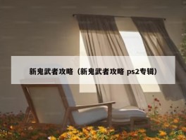 新鬼武者攻略（新鬼武者攻略 ps2专辑）