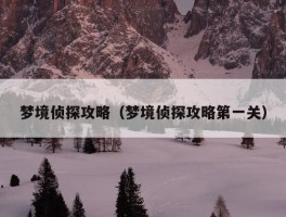 梦境侦探攻略（梦境侦探攻略第一关）