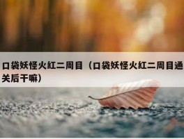 口袋妖怪火红二周目（口袋妖怪火红二周目通关后干嘛）