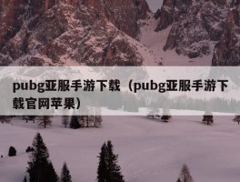 pubg亚服手游下载（pubg亚服手游下载官网苹果）