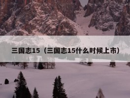 三国志15（三国志15什么时候上市）