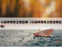 斗战神埋骨之地在哪（斗战神埋骨之地宝物在哪）