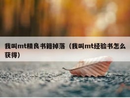 我叫mt精良书籍掉落（我叫mt经验书怎么获得）