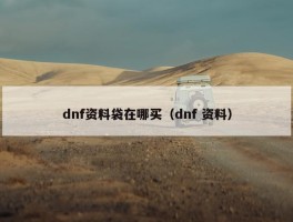 dnf资料袋在哪买（dnf 资料）