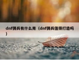 dnf佣兵有什么用（dnf佣兵值得打造吗）