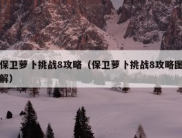 保卫萝卜挑战8攻略（保卫萝卜挑战8攻略图解）