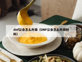 dnf公会怎么升级（DNF公会怎么升级材料）