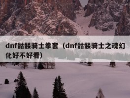 dnf骷髅骑士拳套（dnf骷髅骑士之魂幻化好不好看）