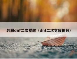 韩服dnf二次觉醒（dnf二次觉醒视频）