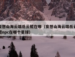 妄想山海云端岳云鲲在哪（妄想山海云端岳云鲲npc在哪个星球）