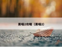 黑暗2攻略（黑暗2）