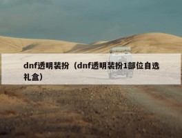 dnf透明装扮（dnf透明装扮1部位自选礼盒）