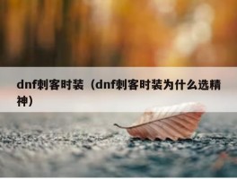 dnf刺客时装（dnf刺客时装为什么选精神）