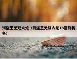 海盗王无双大蛇（海盗王无双大蛇16最终装备）