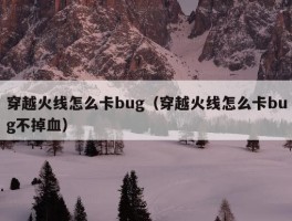 穿越火线怎么卡bug（穿越火线怎么卡bug不掉血）