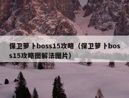 保卫萝卜boss15攻略（保卫萝卜boss15攻略图解法图片）