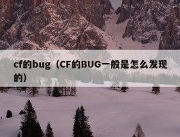 cf的bug（CF的BUG一般是怎么发现的）