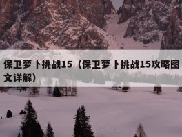 保卫萝卜挑战15（保卫萝卜挑战15攻略图文详解）