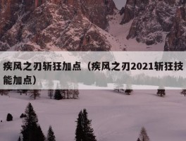 疾风之刃斩狂加点（疾风之刃2021斩狂技能加点）