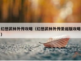 幻想武林外传攻略（幻想武林外传圣诞版攻略）