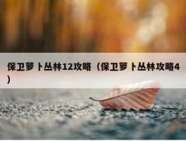 保卫萝卜丛林12攻略（保卫萝卜丛林攻略4）