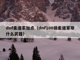 dnf柔道家加点（dnf100级柔道家带什么武器）