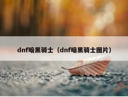 dnf暗黑骑士（dnf暗黑骑士图片）