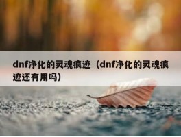 dnf净化的灵魂痕迹（dnf净化的灵魂痕迹还有用吗）