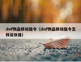 dnf物品移动指令（dnf物品移动指令怎样设快捷）