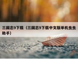 三国志9下载（三国志9下载中文版单机虫虫助手）