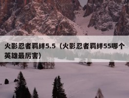 火影忍者羁绊5.5（火影忍者羁绊55哪个英雄最厉害）