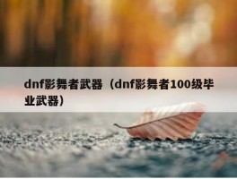 dnf影舞者武器（dnf影舞者100级毕业武器）