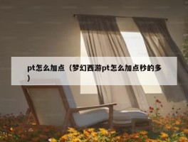 pt怎么加点（梦幻西游pt怎么加点秒的多）