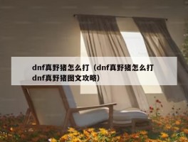 dnf真野猪怎么打（dnf真野猪怎么打 dnf真野猪图文攻略）